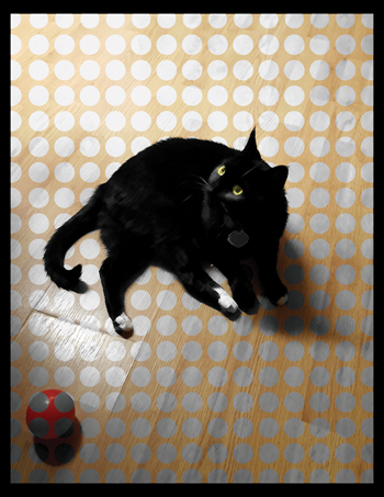 photo_edit_cat_with_spherical_design