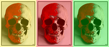photo_edit_colorful_skulls