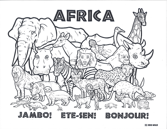 coloring_book_original_african_animals