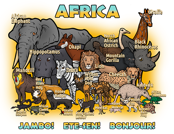 African Animals - regular